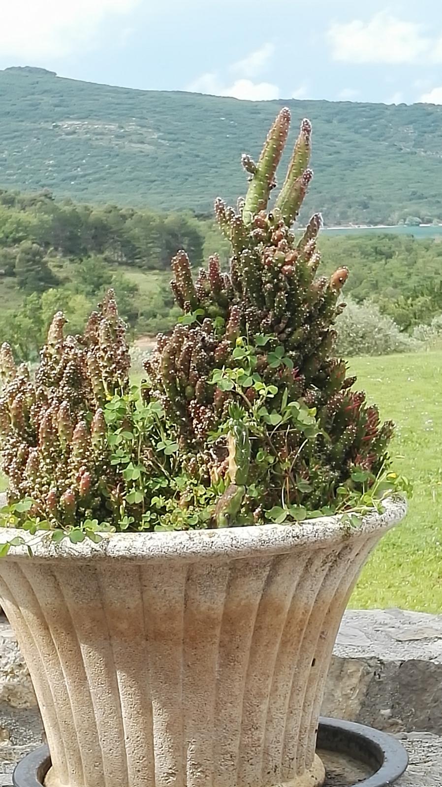 montownia-klimatu.pl